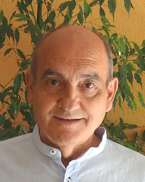 Manuel J. Alvarez