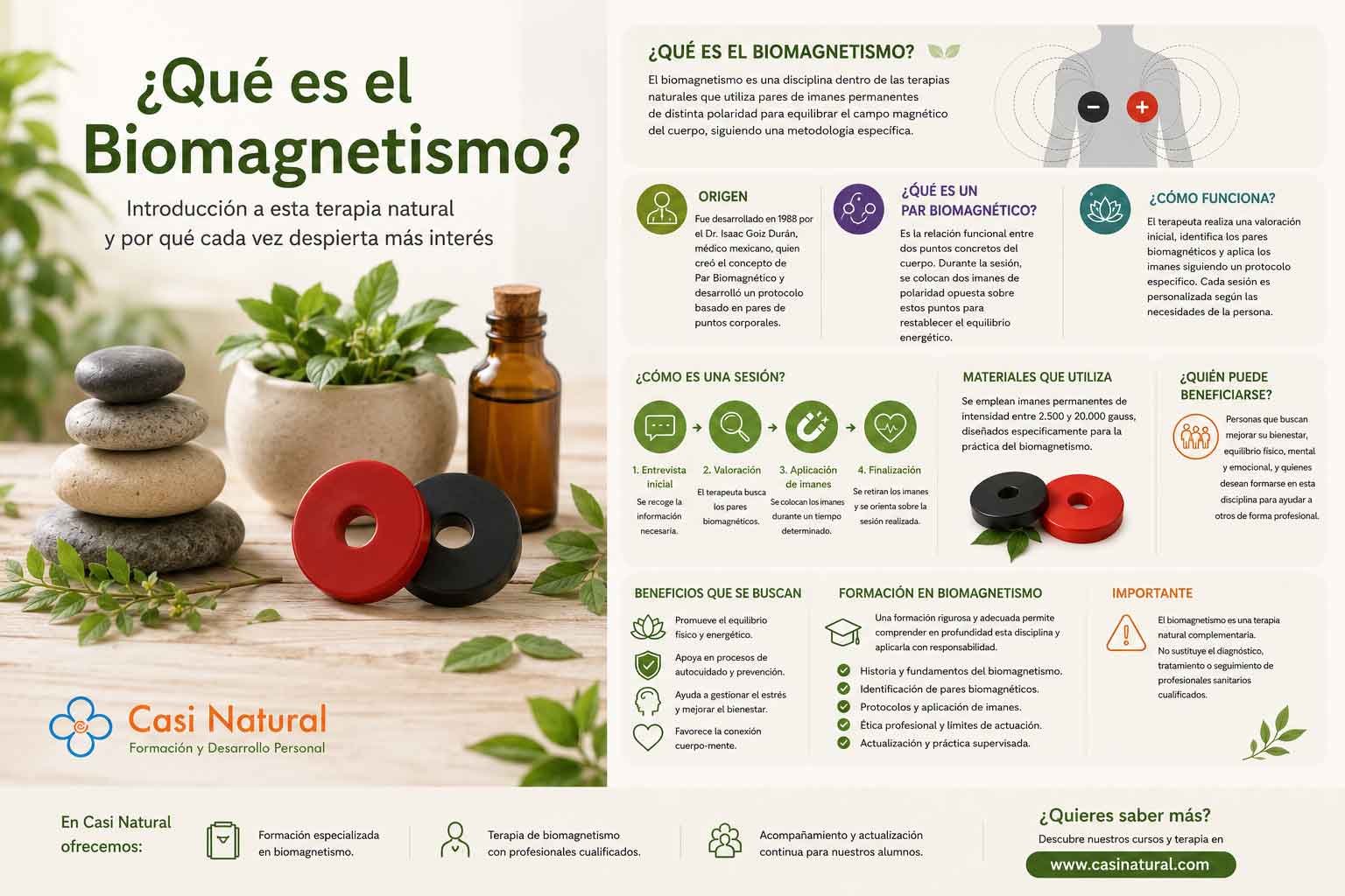 Infografía sobre qué es el biomagnetismo, cómo funciona, qué es el Par Biomagnético y cómo se desarrolla una sesión de biomagnetismo.